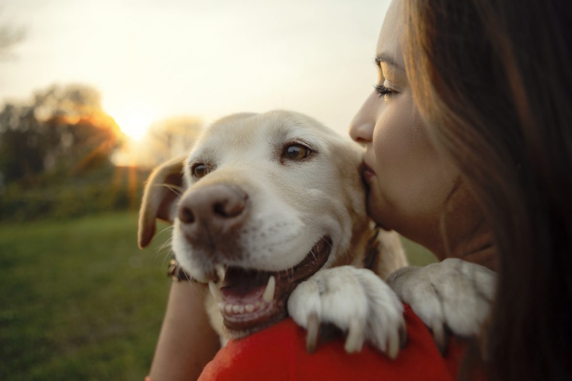 Preparing for home dog euthanasia: what you need to know?